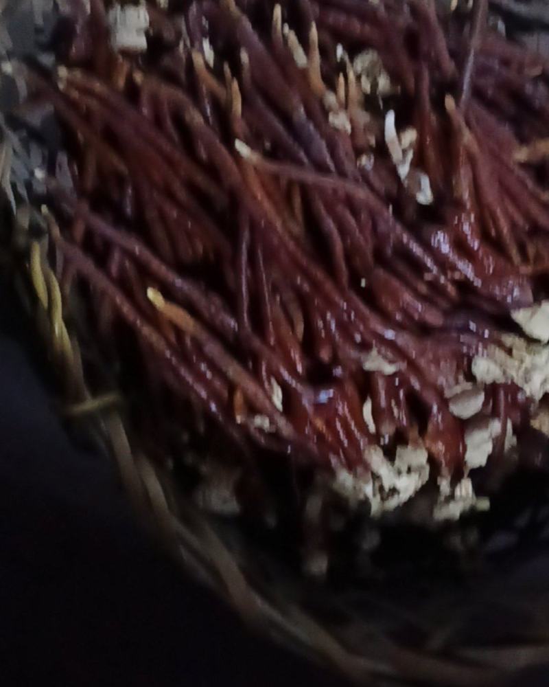麓茸菇药材