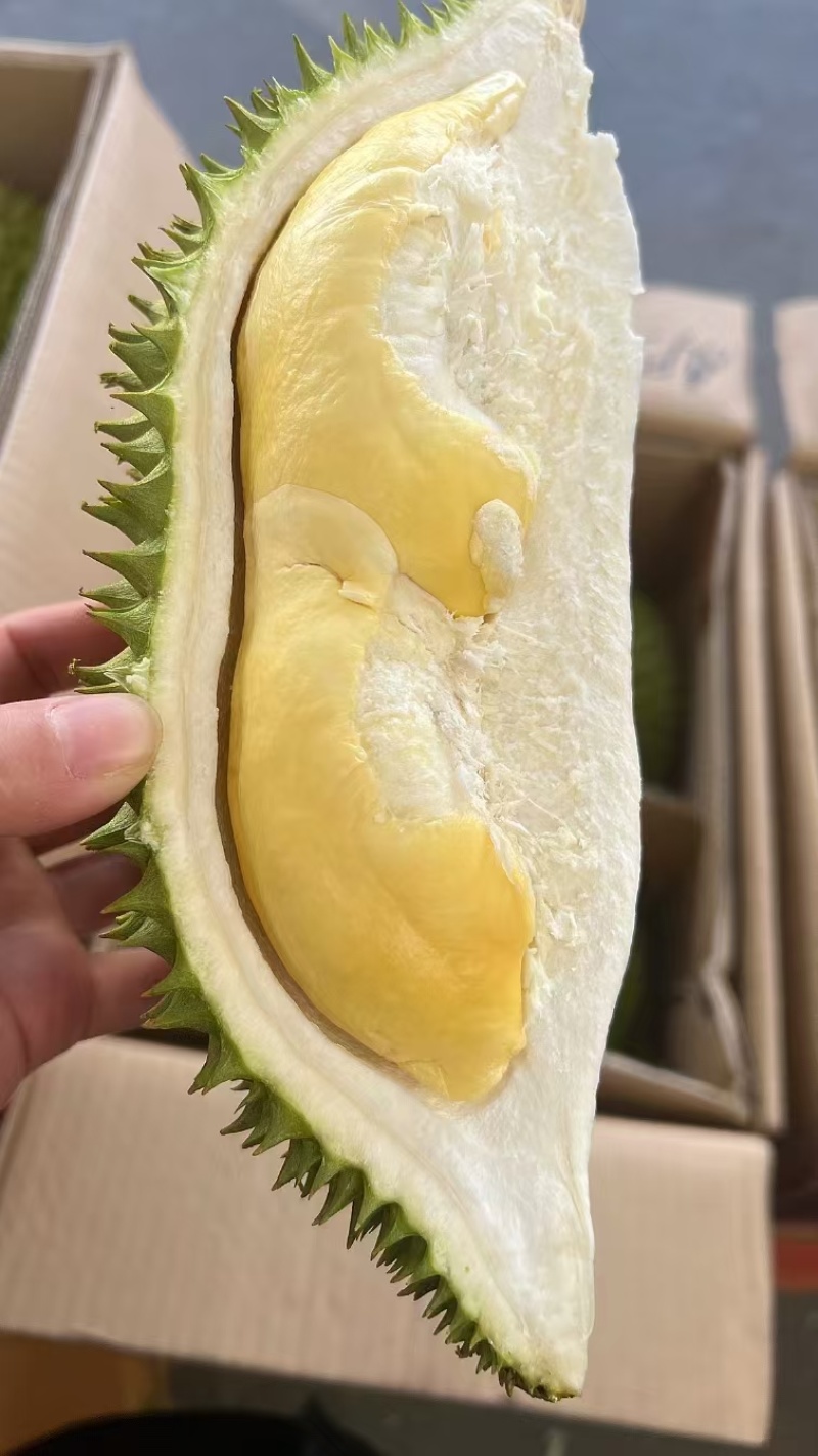 干尧二级，金枕榴莲都有
