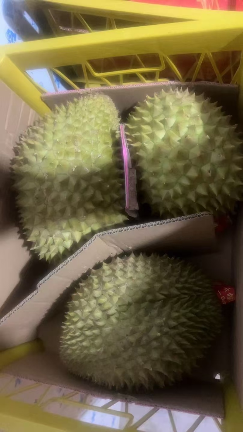 干尧二级，金枕榴莲都有