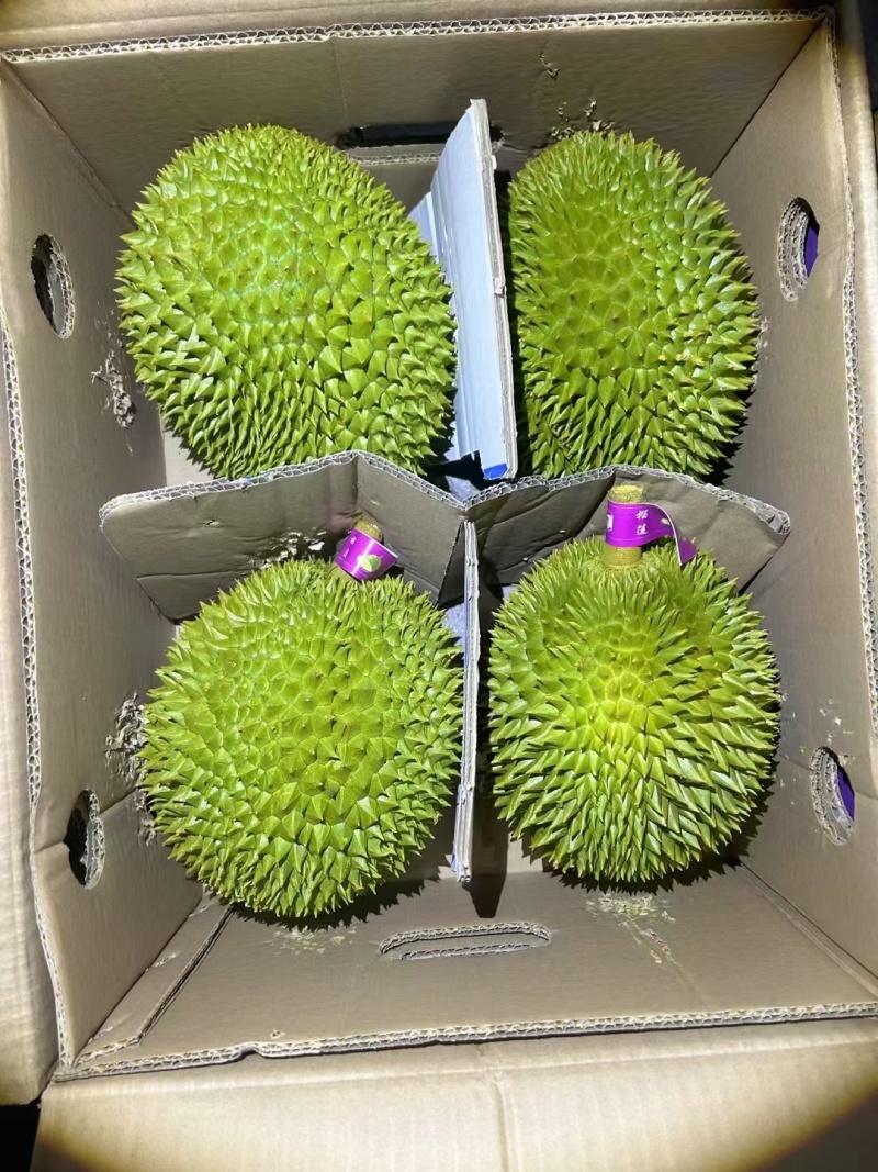 干尧二级，金枕榴莲都有