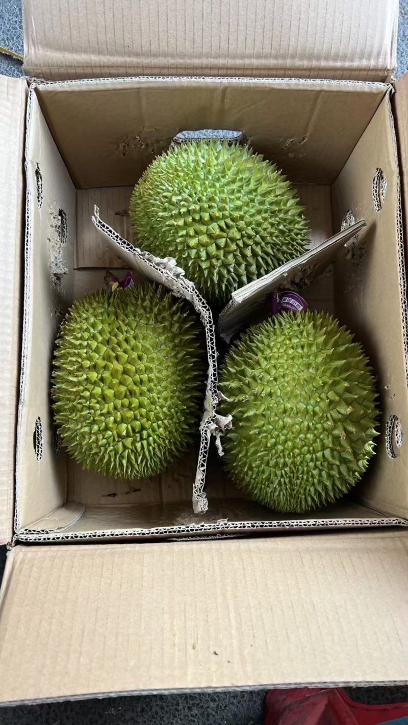 干尧二级，金枕榴莲都有
