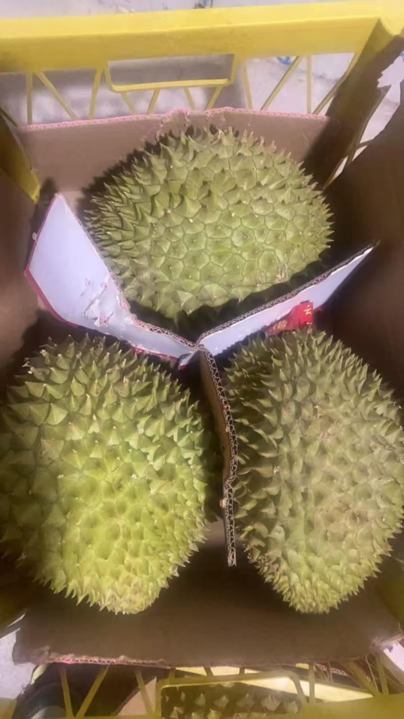 干尧二级，金枕榴莲都有