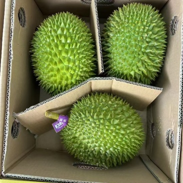 干尧二级，金枕榴莲都有