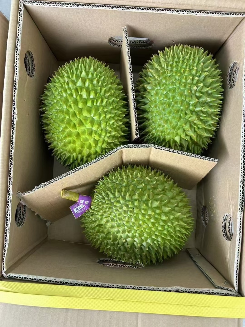 干尧二级，金枕榴莲都有