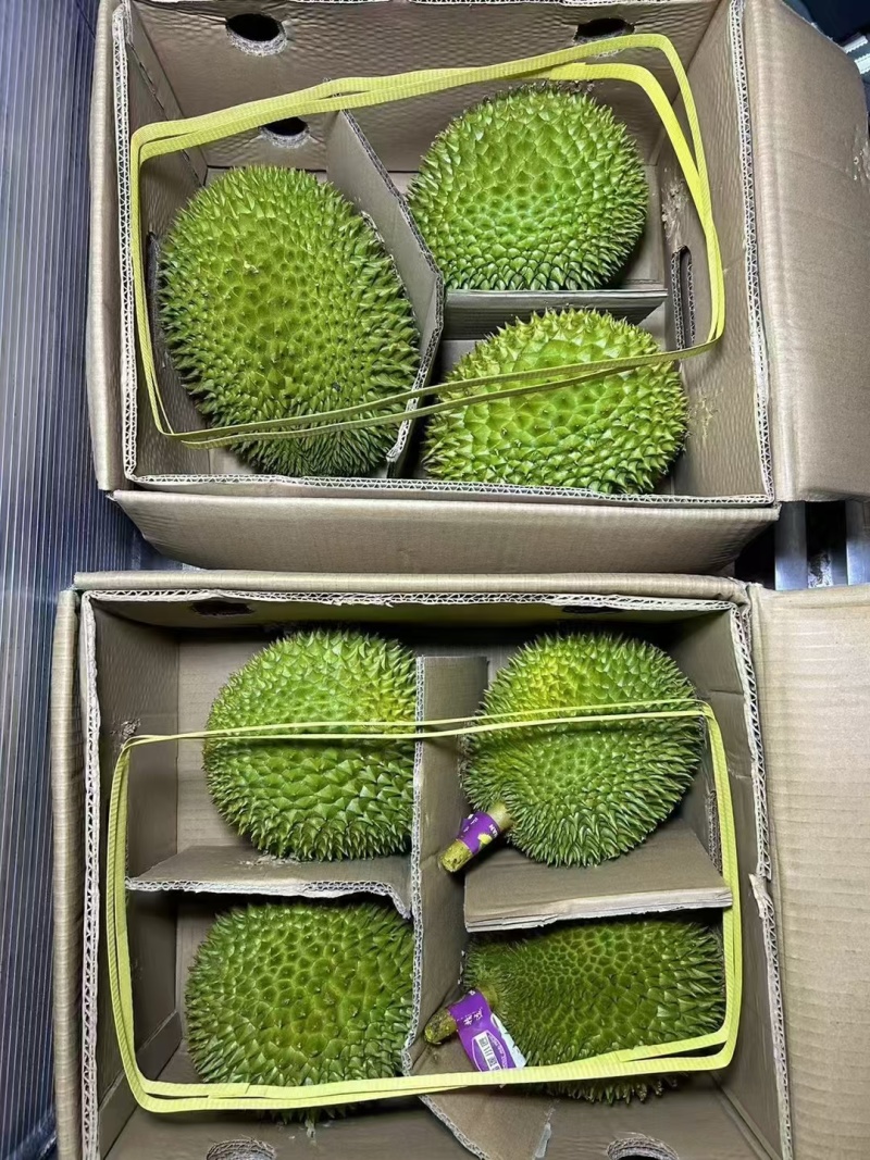 干尧二级，金枕榴莲都有