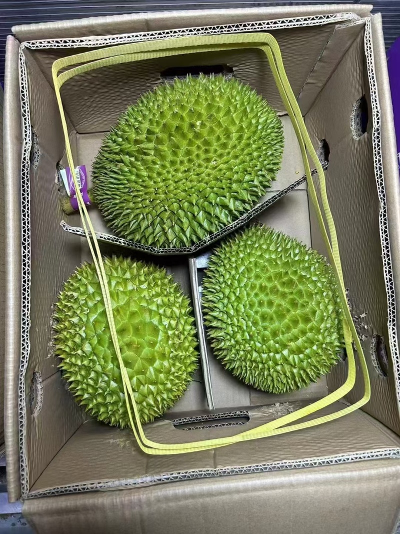 干尧二级，金枕榴莲都有