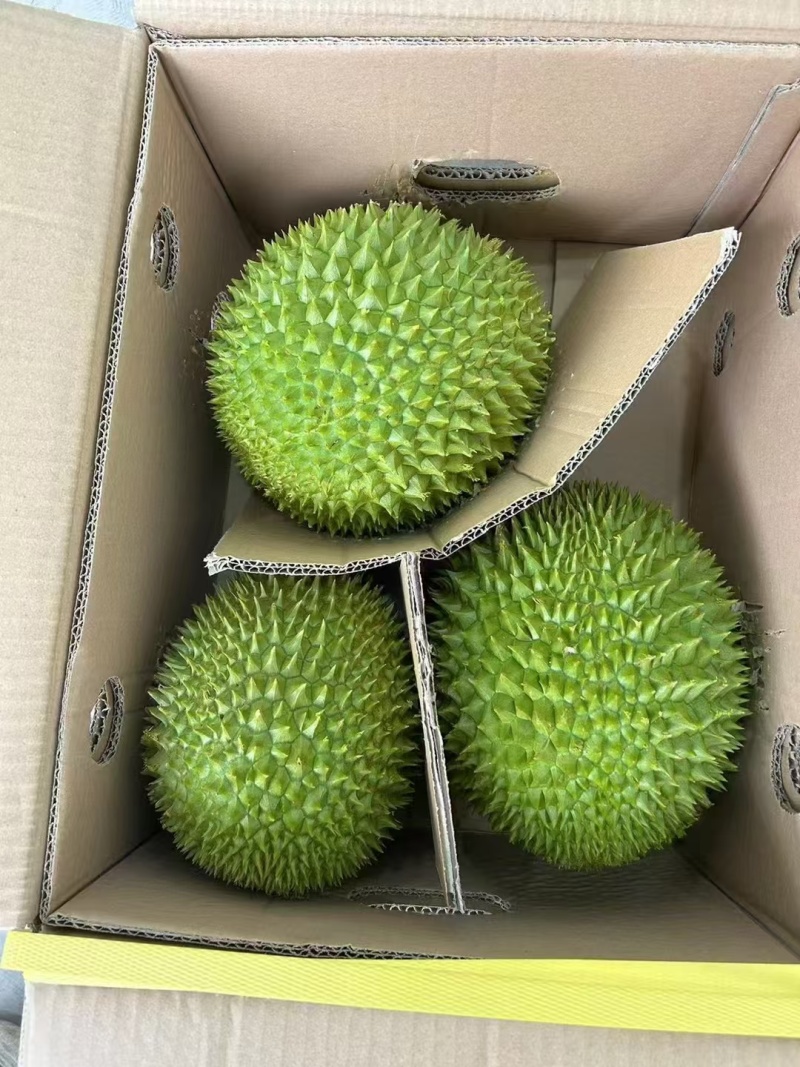 干尧二级，金枕榴莲都有