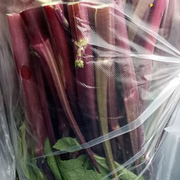 红油菜
