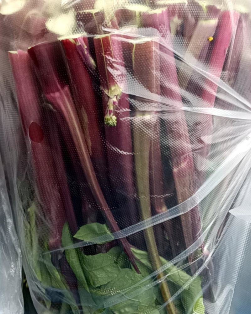 红油菜