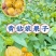 大安菇娘果预售可视频看货