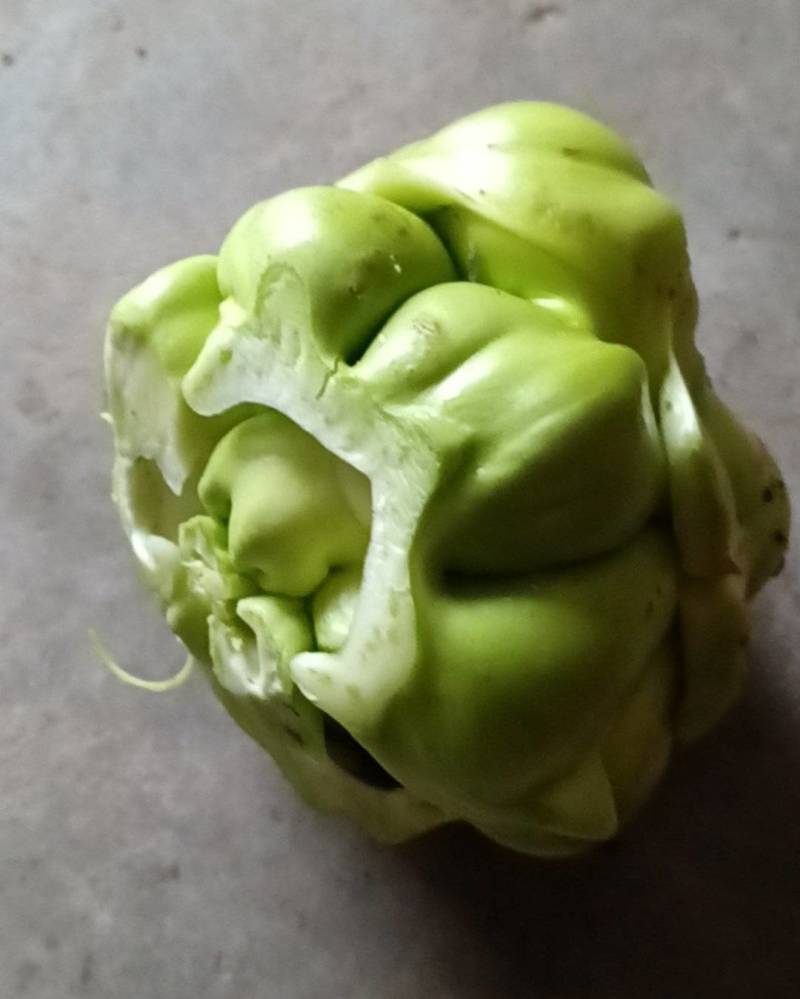 榨菜