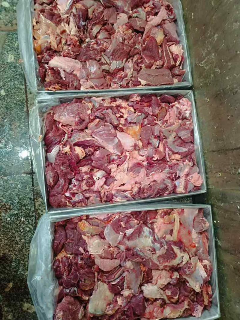 牛碎肉，牛肉部位分割，精修，无油脂，无杂质，内蒙古草地牛肉，
