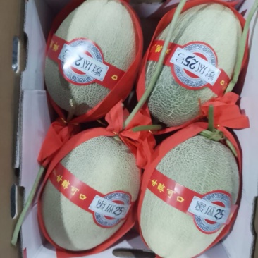 哈密瓜