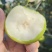苹果枣