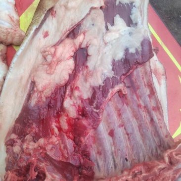 香猪肉
