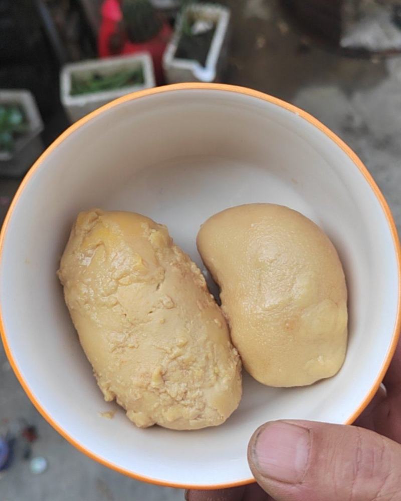 鸡宝