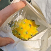 燕窝果，麒麟果