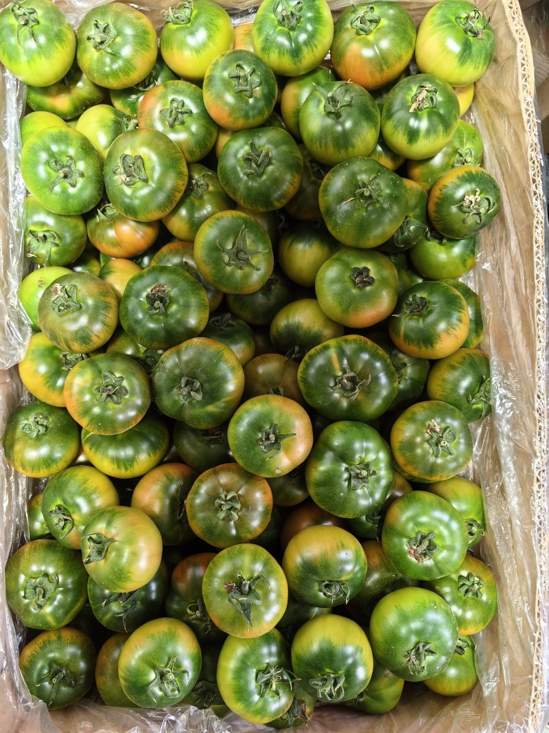 盘锦草莓柿子
