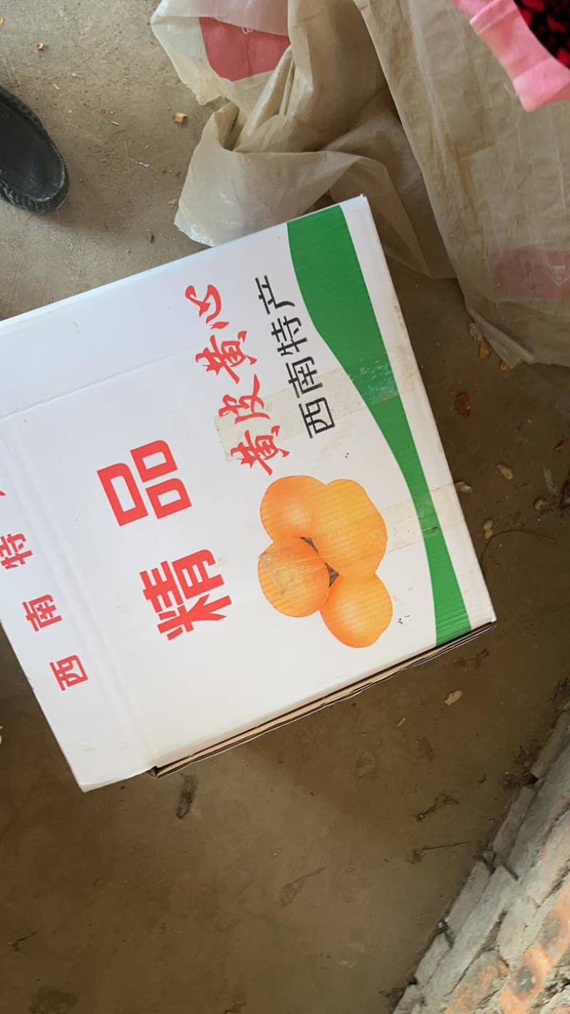 云南新土豆