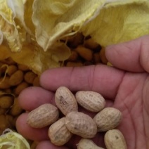 农家罗汉果花生