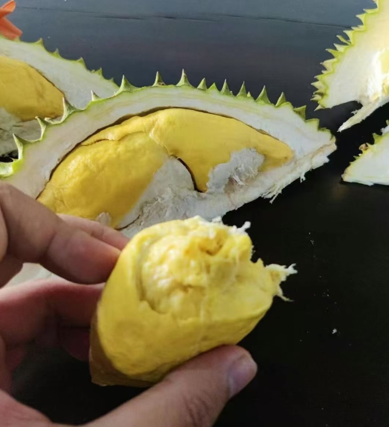 干尧二级三头