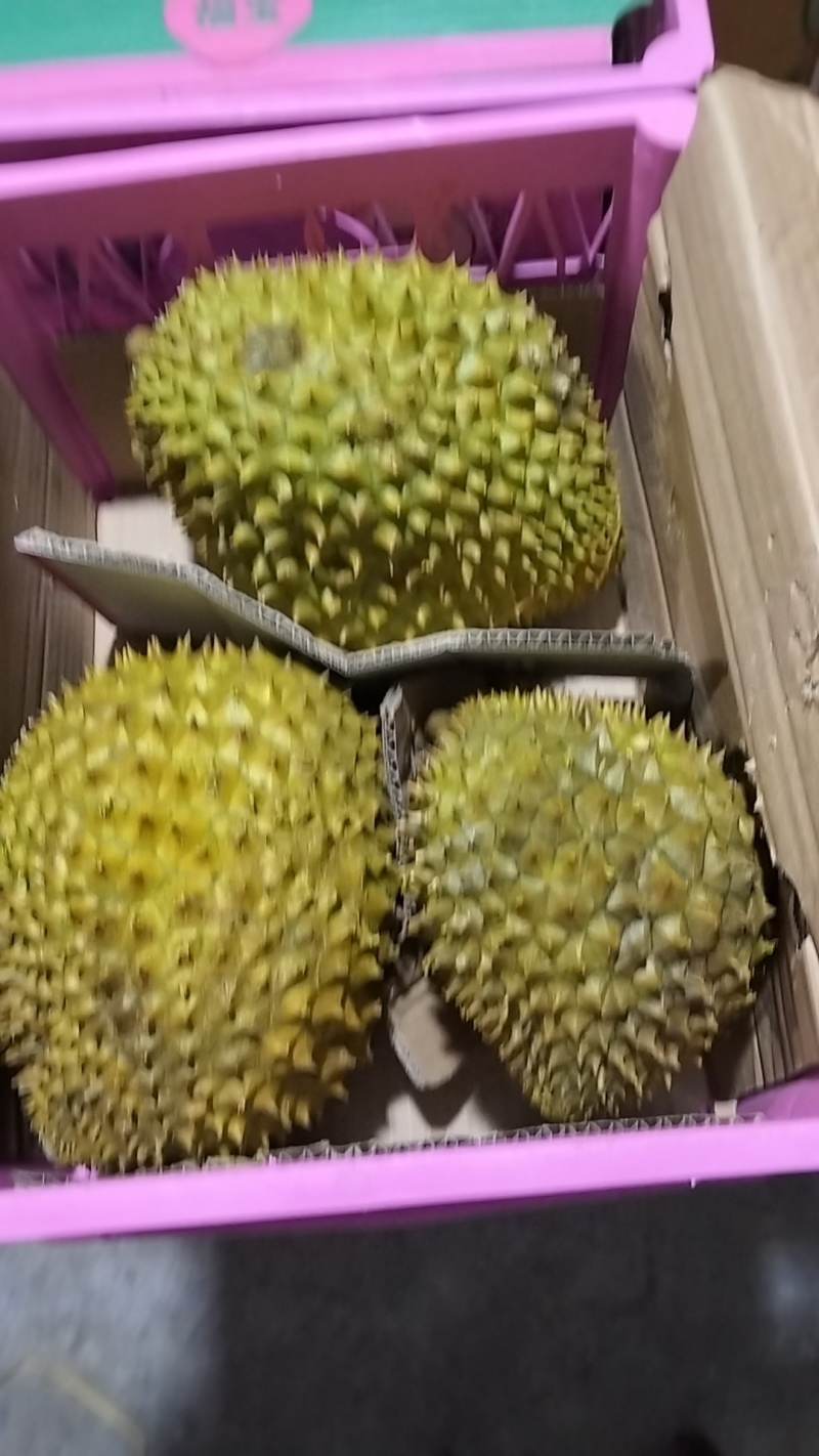干尧二级三头