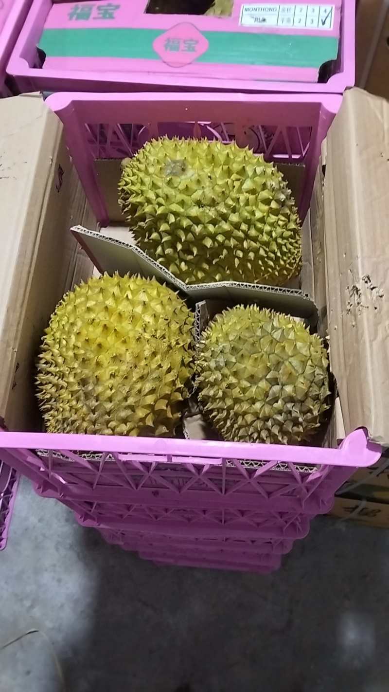 干尧二级三头