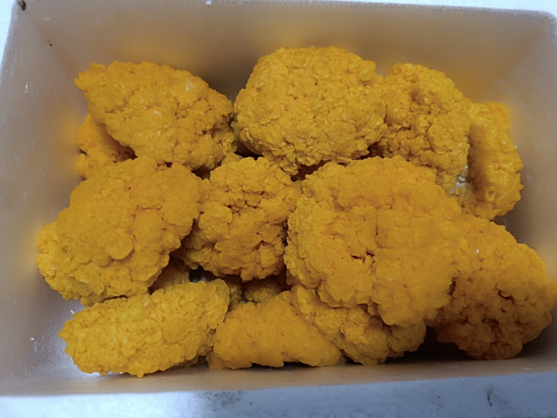新鲜的金耳菌，现货价格优惠。欢迎联系