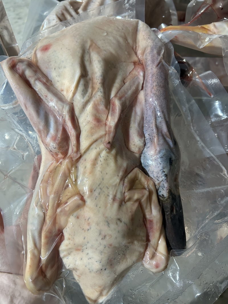 白条鸭