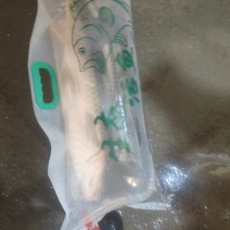 打氧包鲤鱼