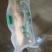 打氧包鲤鱼