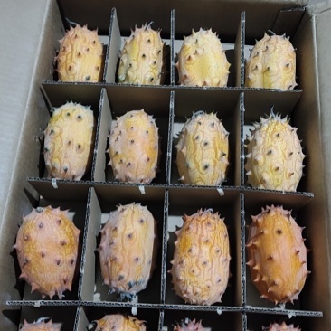 火参果