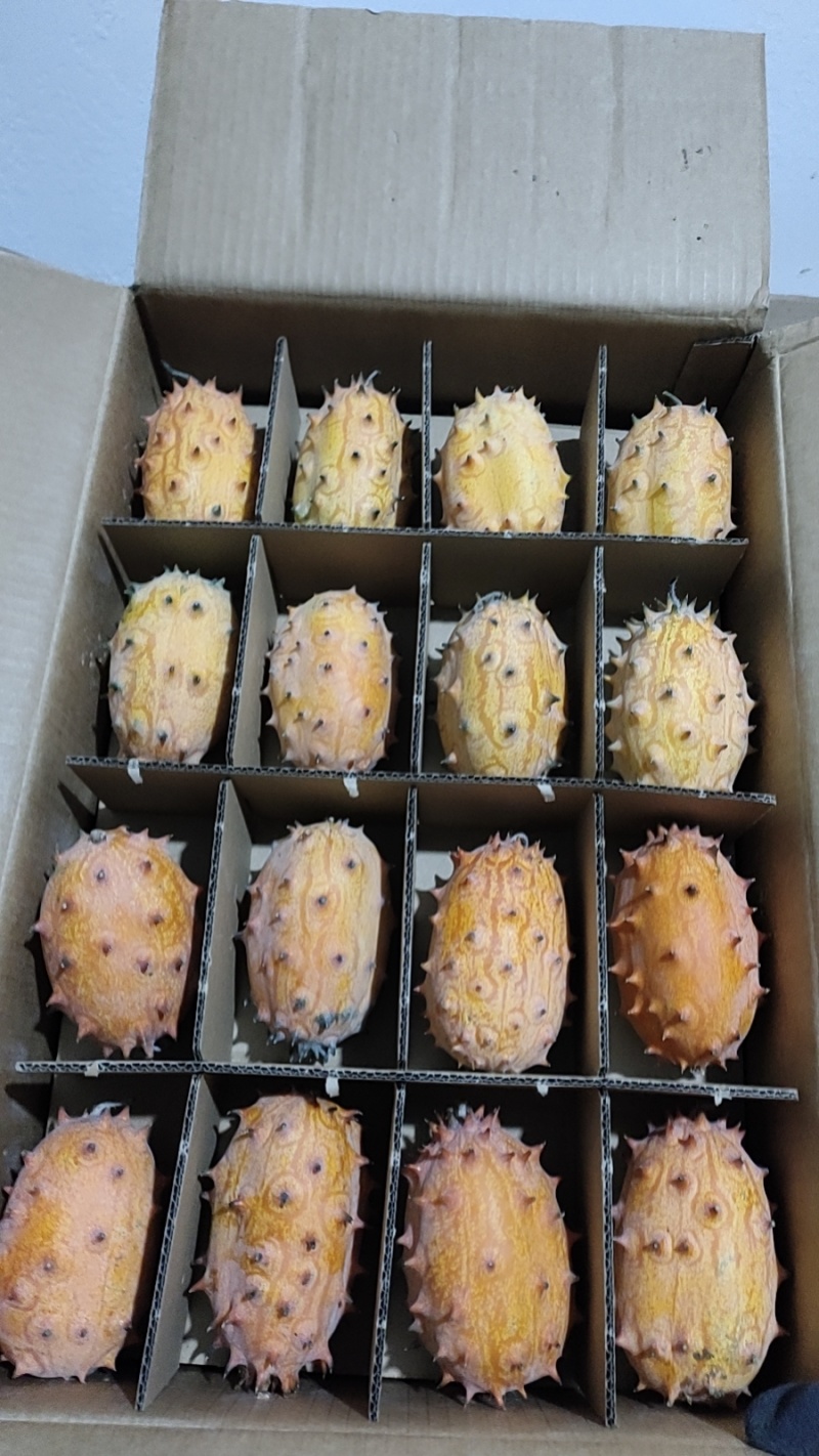 火参果