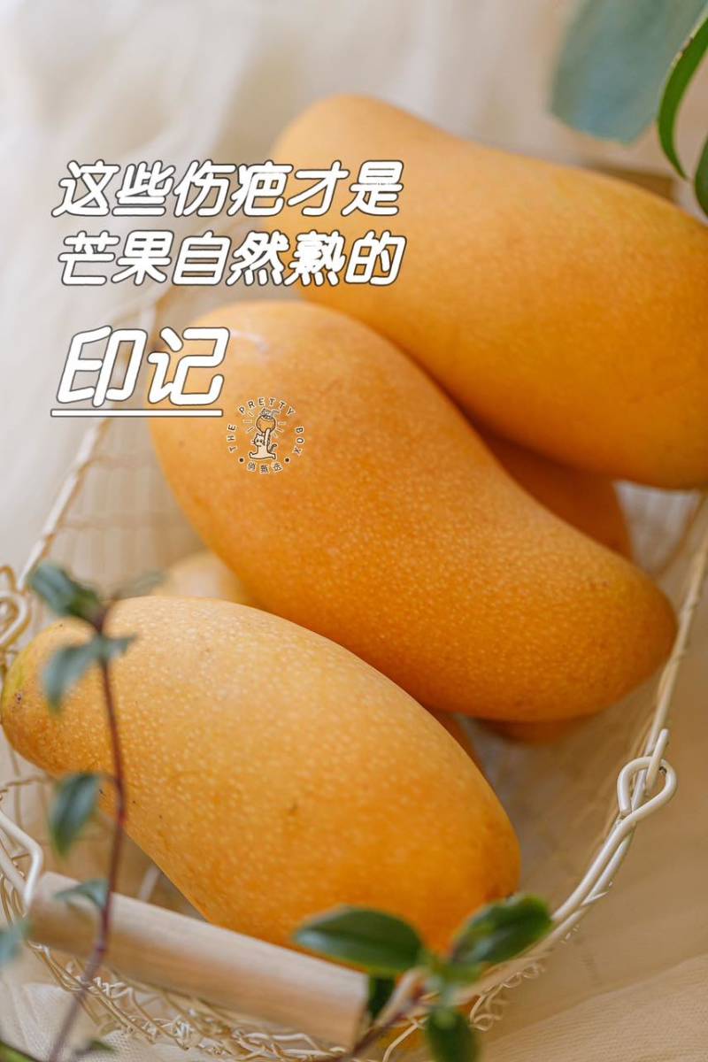 海南芒果
