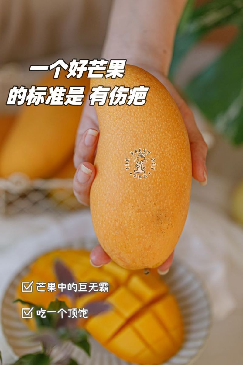 海南芒果