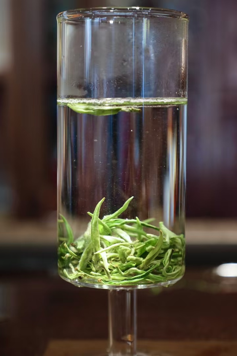 阳明山云雾茶