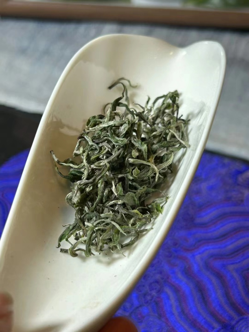 阳明山云雾茶