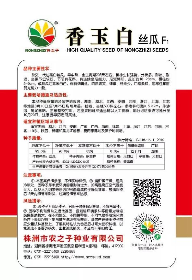 香玉白杂交一代油亮白丝瓜早中熟耐储运炒不黑