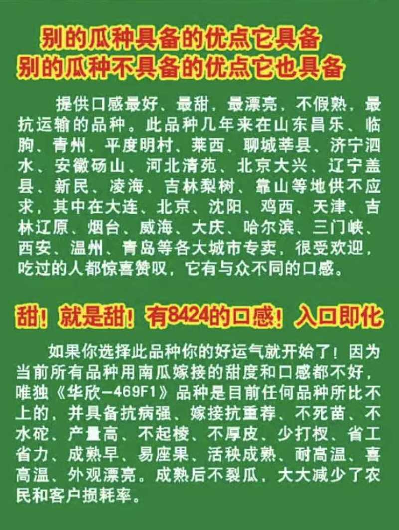 京研种业华欣469西瓜种子耐高温、不水坨、抗病、高产量
