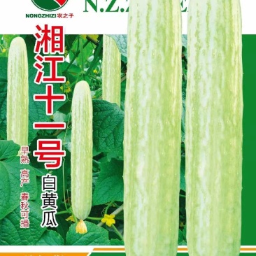 湘江十一号青丝白黄瓜种子杂交一代早熟高产春秋可播