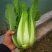 龙牙菜30多万精品