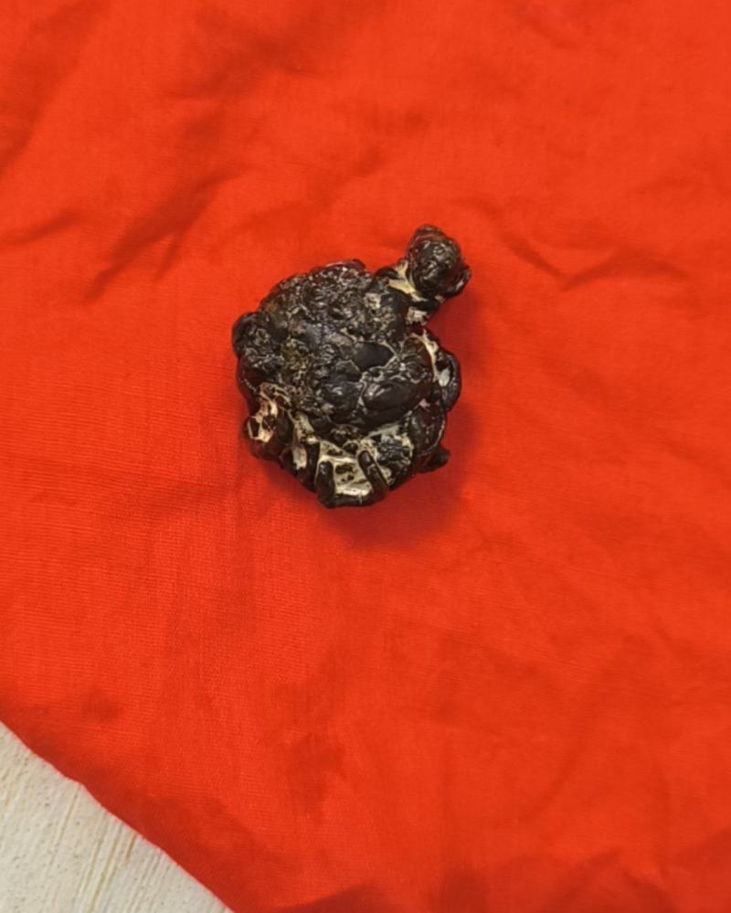 羊黄