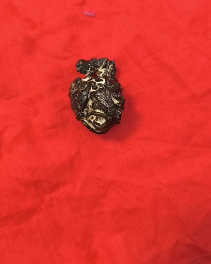羊黄