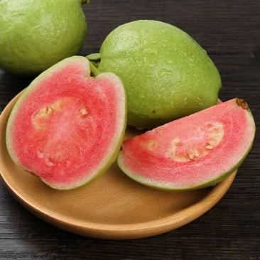 红心番石榴/精品番石榴/红心芭乐