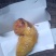 鸡宝