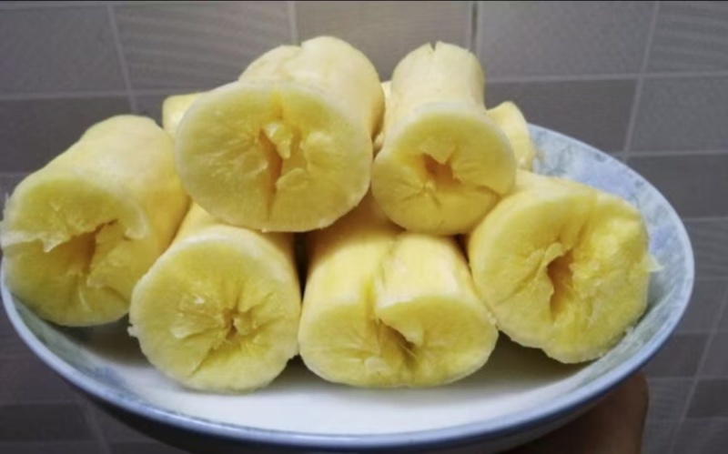 广西黄肉木薯