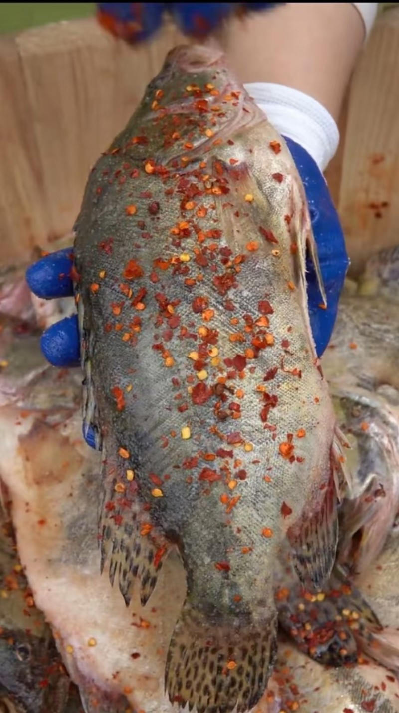 油炸大鲤鱼