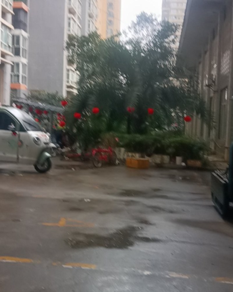 蚕茧