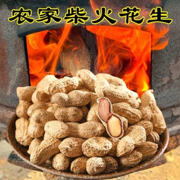 地锅炒花生🥜支持全平台代发