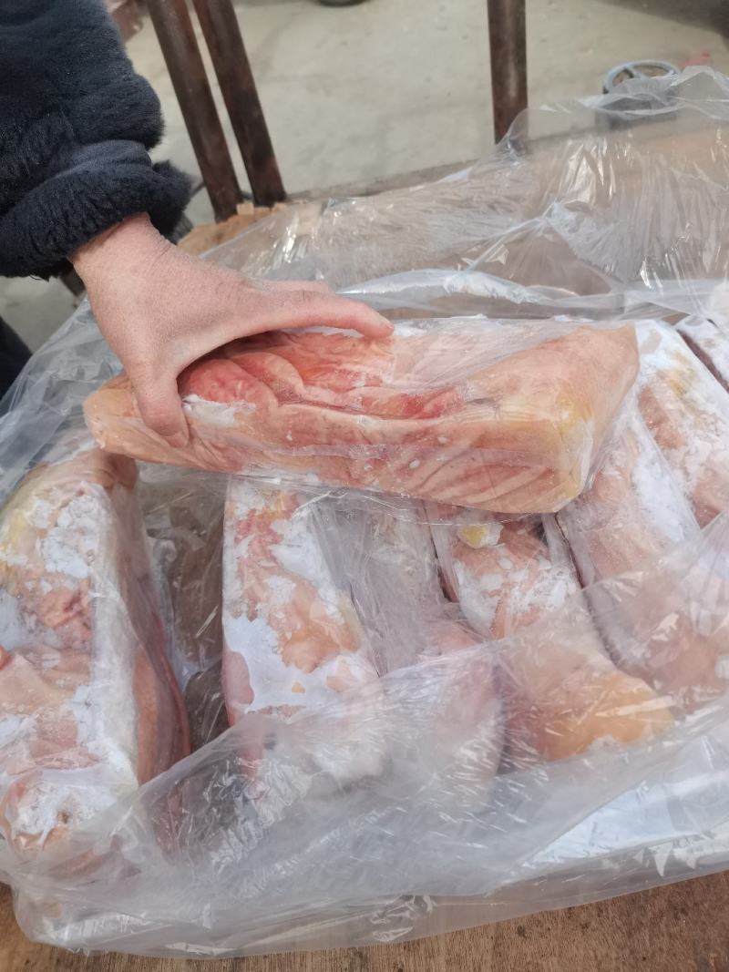 母猪肚子，干货去油，箱装每个都有隔片